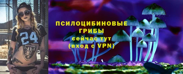 эйфоретик Алексеевка